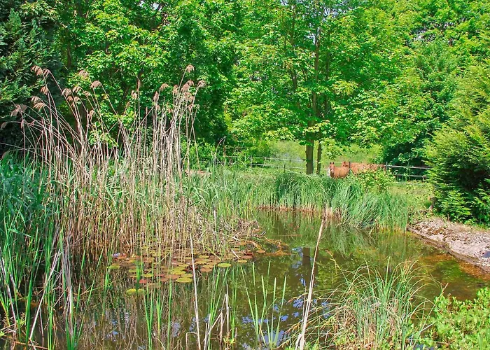 Apartamento Rheinsberg